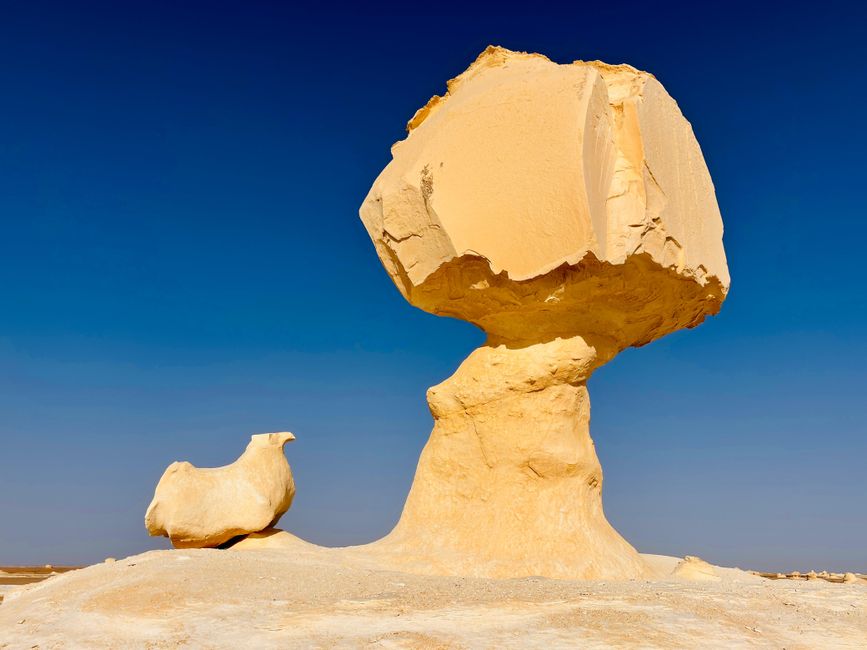 سحر سماء الصحراء